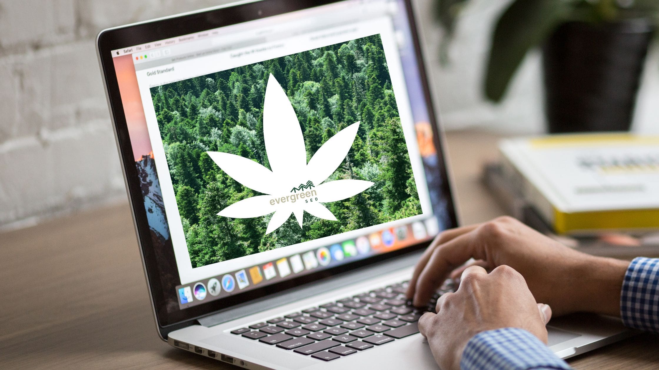 Best Website Platforms Cannabis Companies Evergreen Cannabis SEO