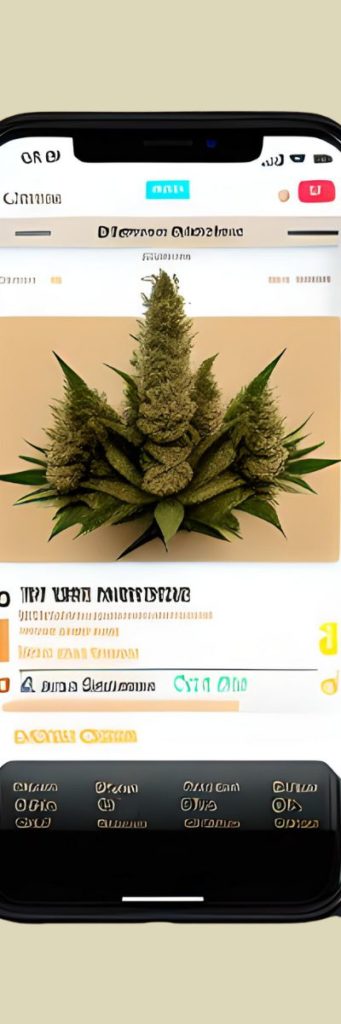 Iphone cannabis directory