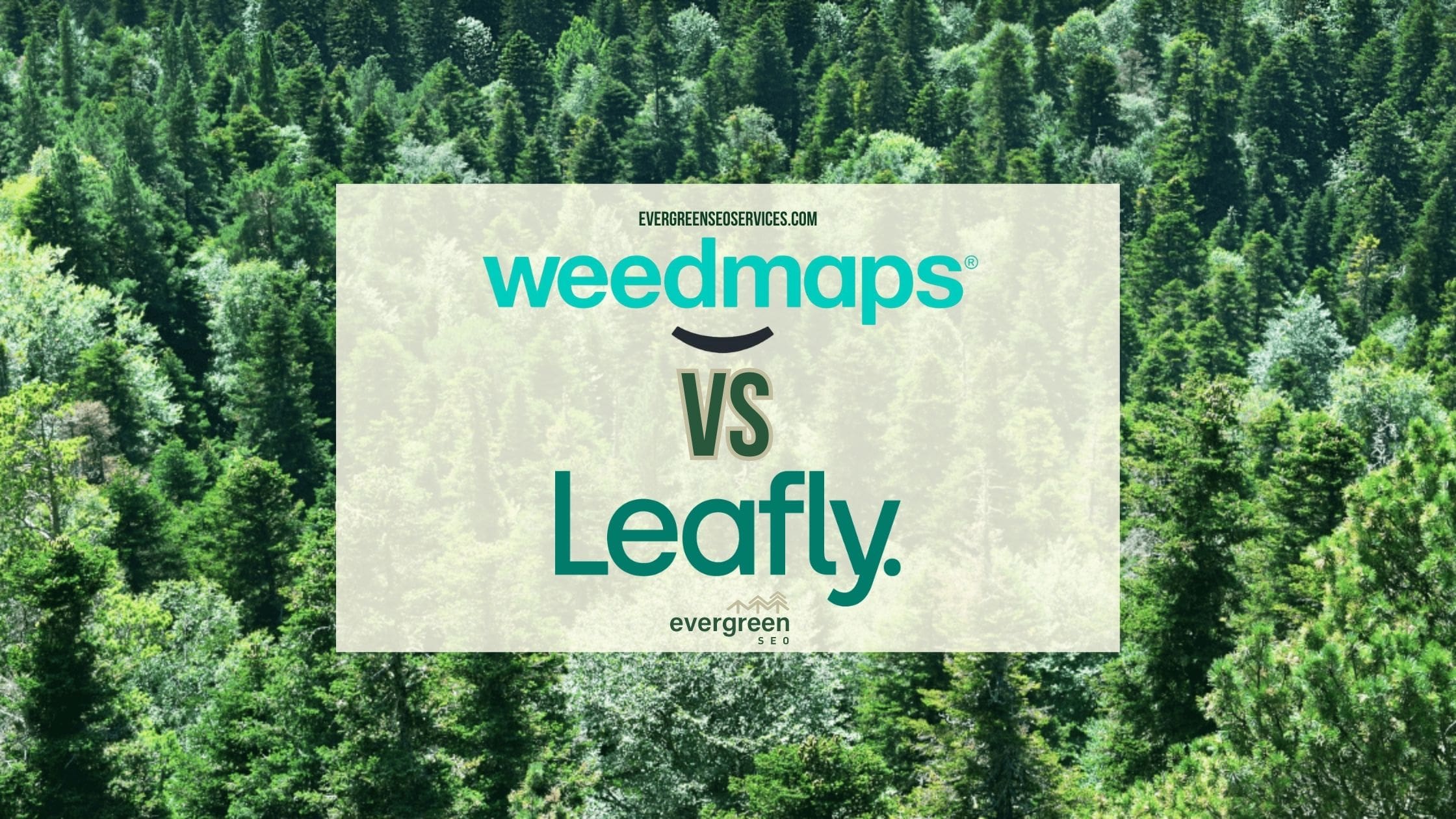 Evergreen Cannabis SEO Weedmaps vs Leafly