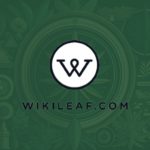 WikiLeaf Cannabis Directory