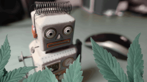 Rethinking Search: AI's Disruption and the Cannabis SEO Opportunity