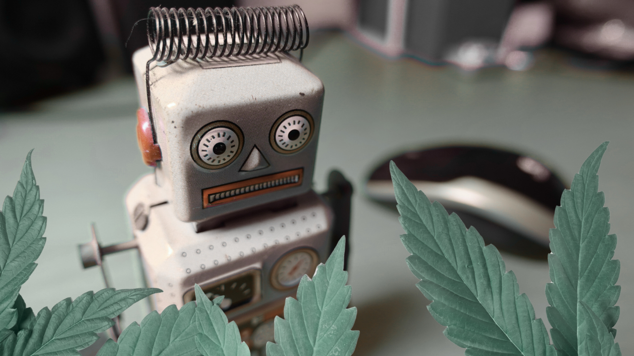 Rethinking Search: AI's Disruption and the Cannabis SEO Opportunity
